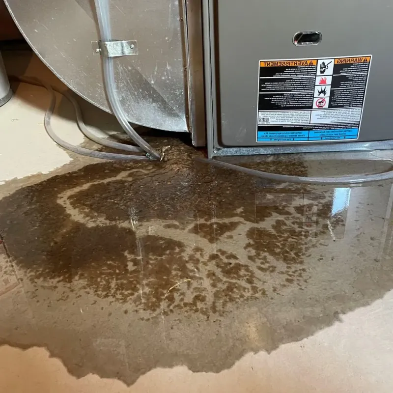 Pipe Burst and Leak Restoration in Lexington, KY